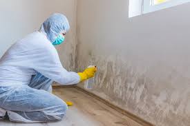 Mold Documentation for Insurance Claims in Watertown, WI